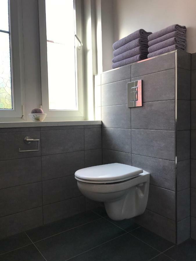 Apartman Havlickova Карлови Вари Екстериор снимка