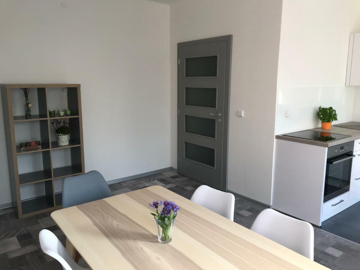 Apartman Havlickova Карлови Вари Екстериор снимка