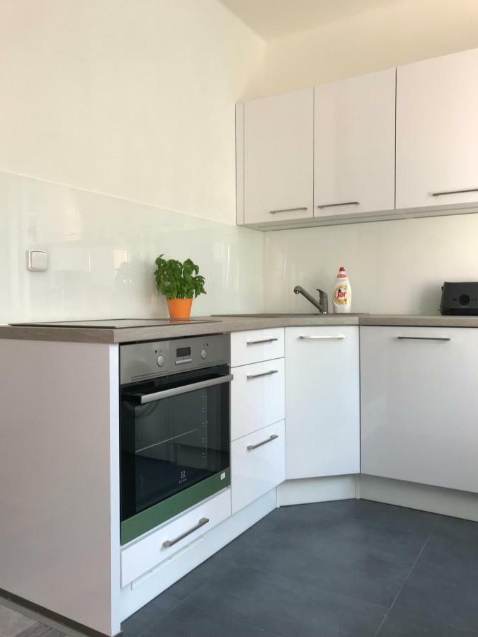 Apartman Havlickova Карлови Вари Екстериор снимка